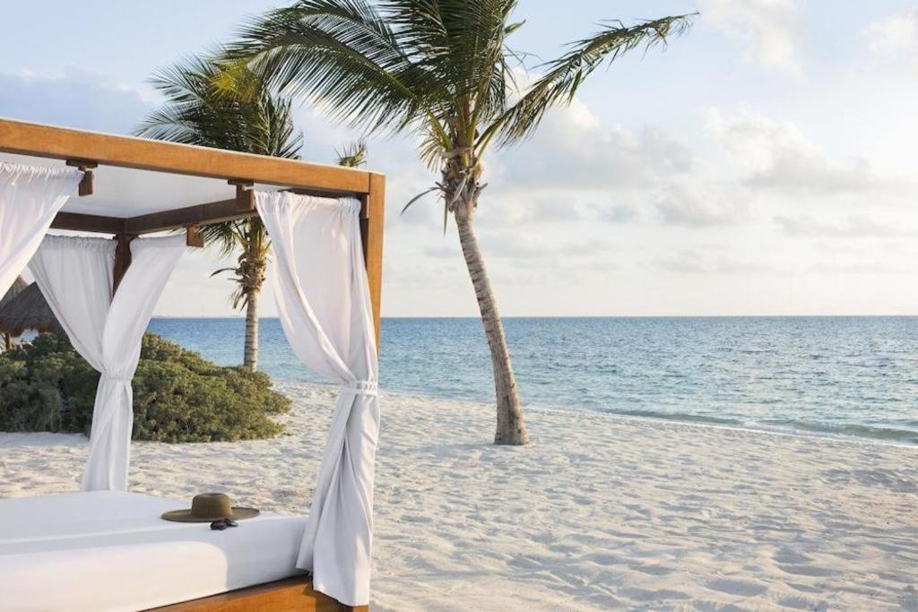Excellence Playa Mujeres (adults Only) Cancun