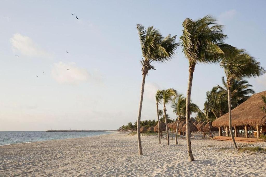 Hotel Finest Playa Mujeres 5*